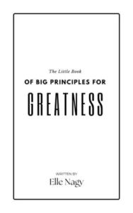 The little book of big principles for greatness: Shifting from one-dimensional goal setting to all-dimensional calibration